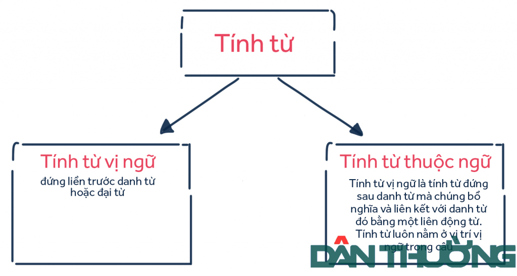 tính từ là gì