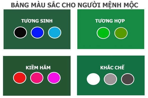 Năm 2022 tuổi dần kỵ màu gì