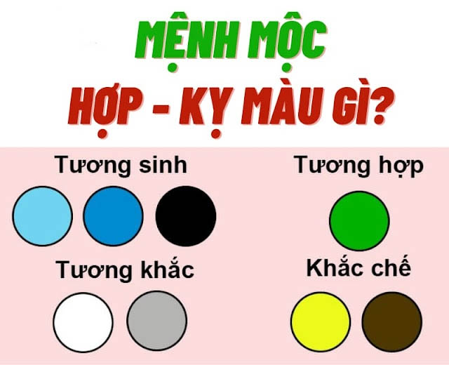 Tuổi dần kỵ màu gì 2022