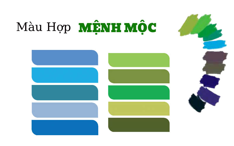Tuổi dần 1974 hợp màu gì