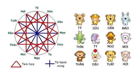 Tuổi ngọ 2002 hợp màu gì năm 2022