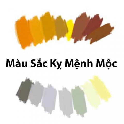 Mệnh Mộc hợp màu gì khắc màu gì