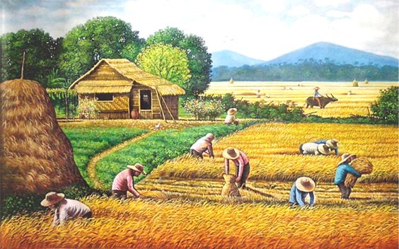 +888 Tranh Phong Cảnh Đẹp, Tranh Đồng Quê Việt Nam 10 Tranh phong cảnh đồng quê lúa vàng